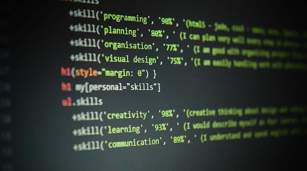 The Learning Resource: The Software Developer