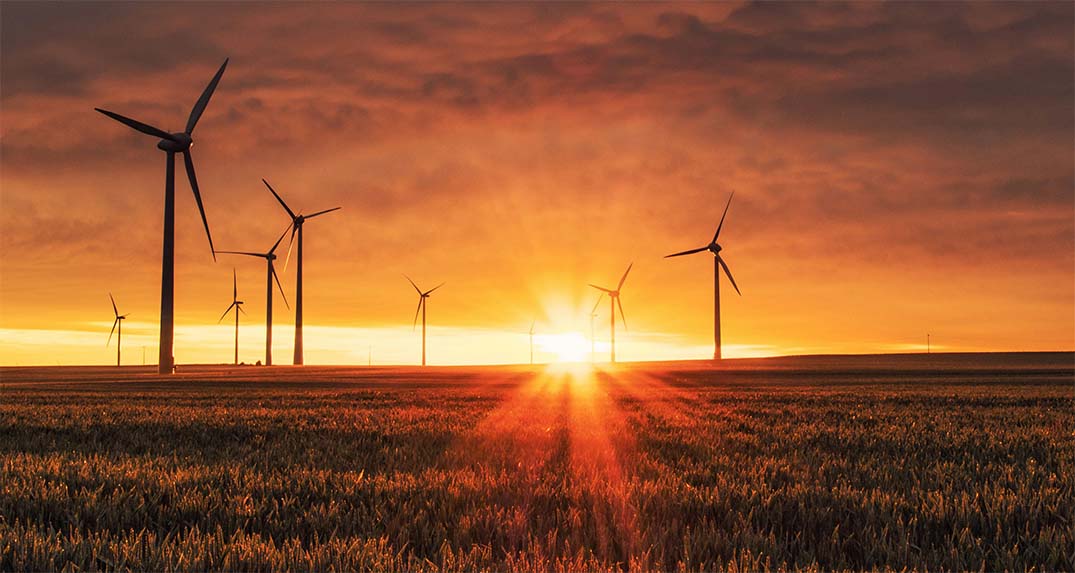 What’s needed to drive a vibrant renewable energy industry?