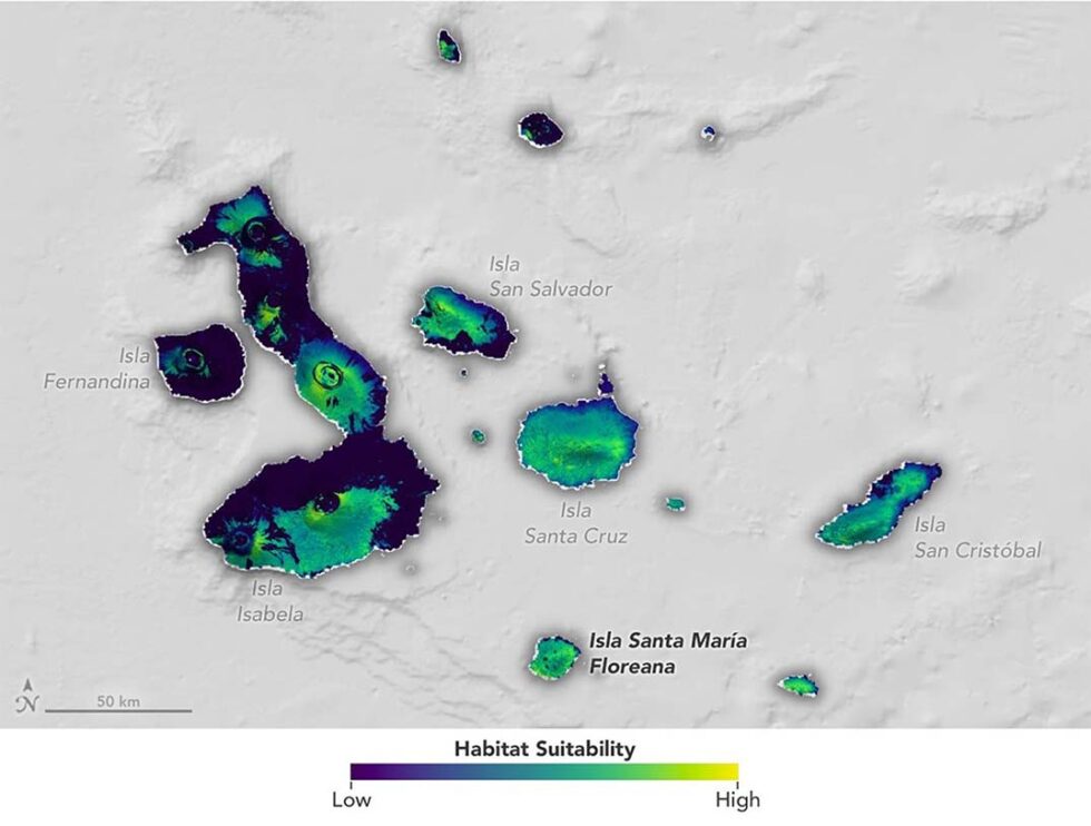 Tortoise Map Satellite data was key to bringing giant tortoises back to Galápagos ...