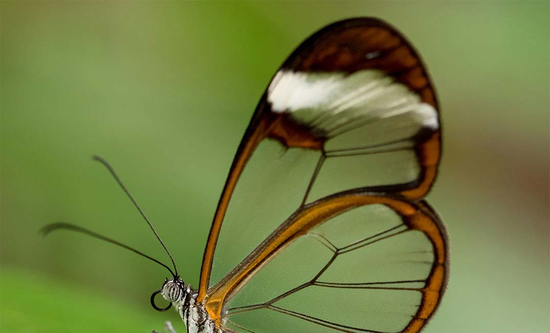 Too powerful to be released, Claude Mythos will help secure tech giants